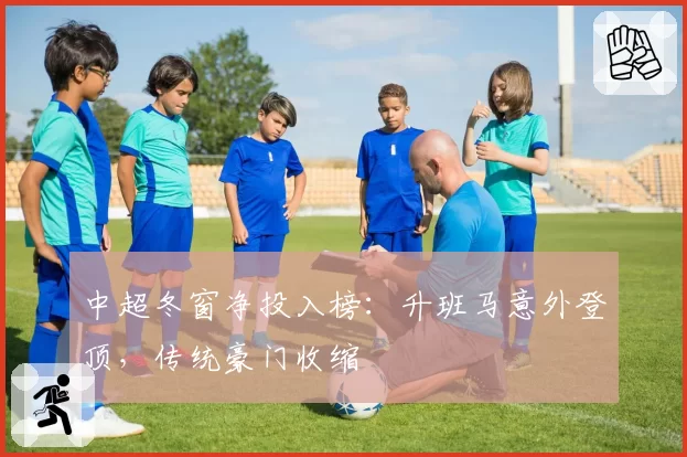 中超冬窗净投入榜：升班马意外登顶，传统豪门收缩