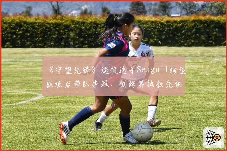 《守望先锋》退役选手Seagull转型教练后带队夺冠,创跨界执教先例