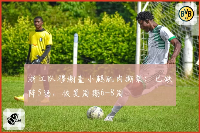 浙江队穆谢奎小腿肌肉撕裂：已缺阵5场，恢复周期6-8周