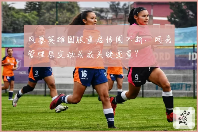 风暴英雄国服重启传闻不断，网易管理层变动或成关键变量？